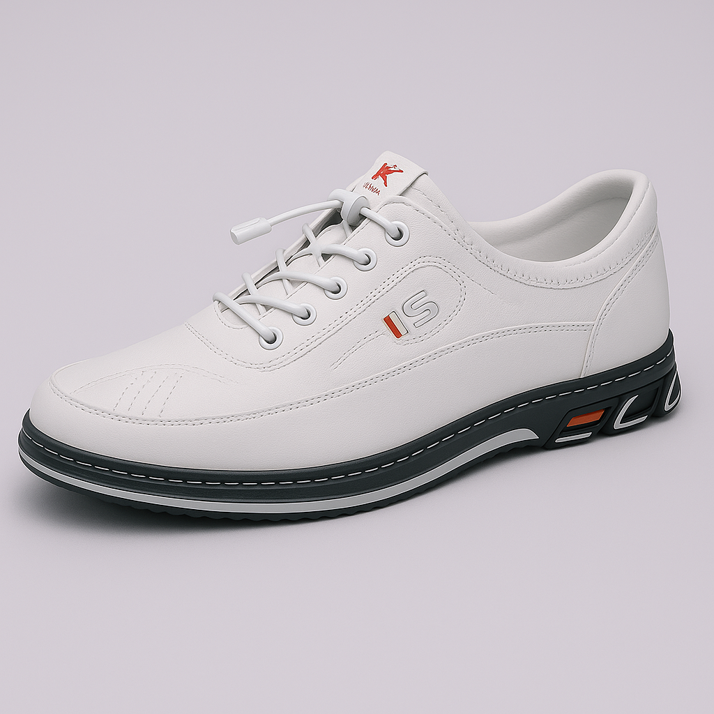 Ashford - Heren schoenen