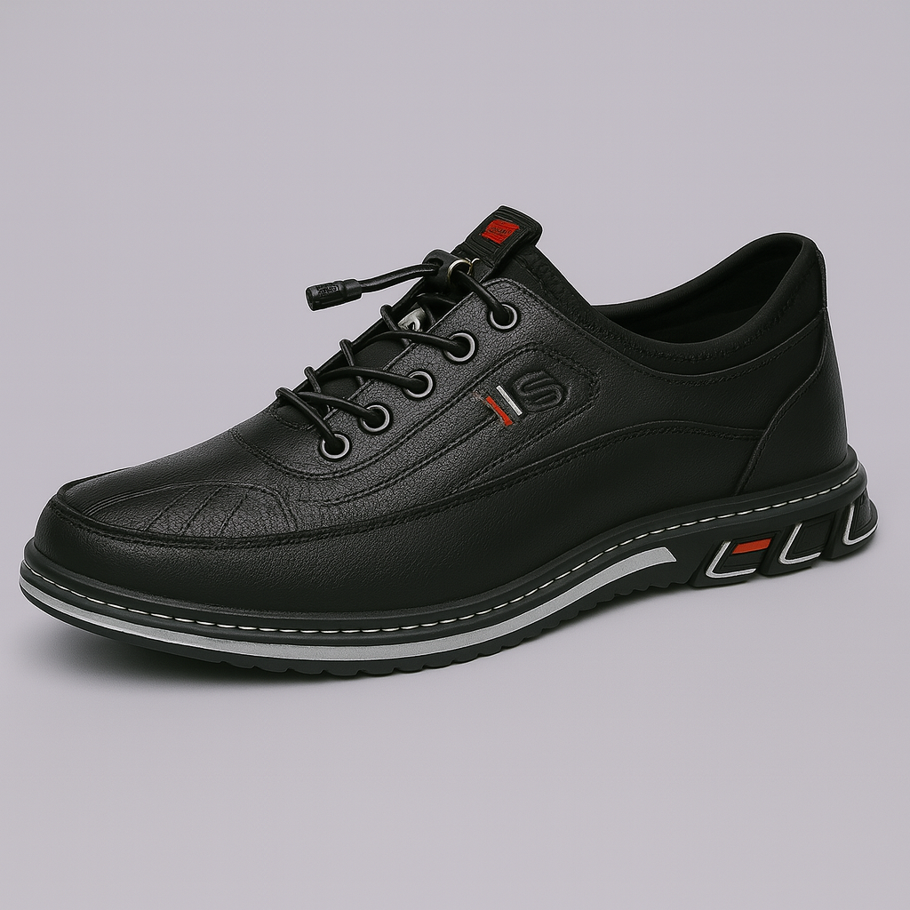 Ashford - Heren schoenen