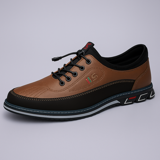Ashford - Heren schoenen