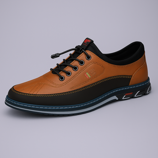 Ashford - Heren schoenen